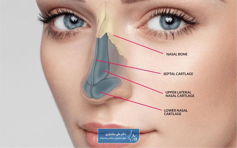 چرا بهترین جراح بینی استخوانی و غضروفی هزینه بیشتری را دریافت میکند؟